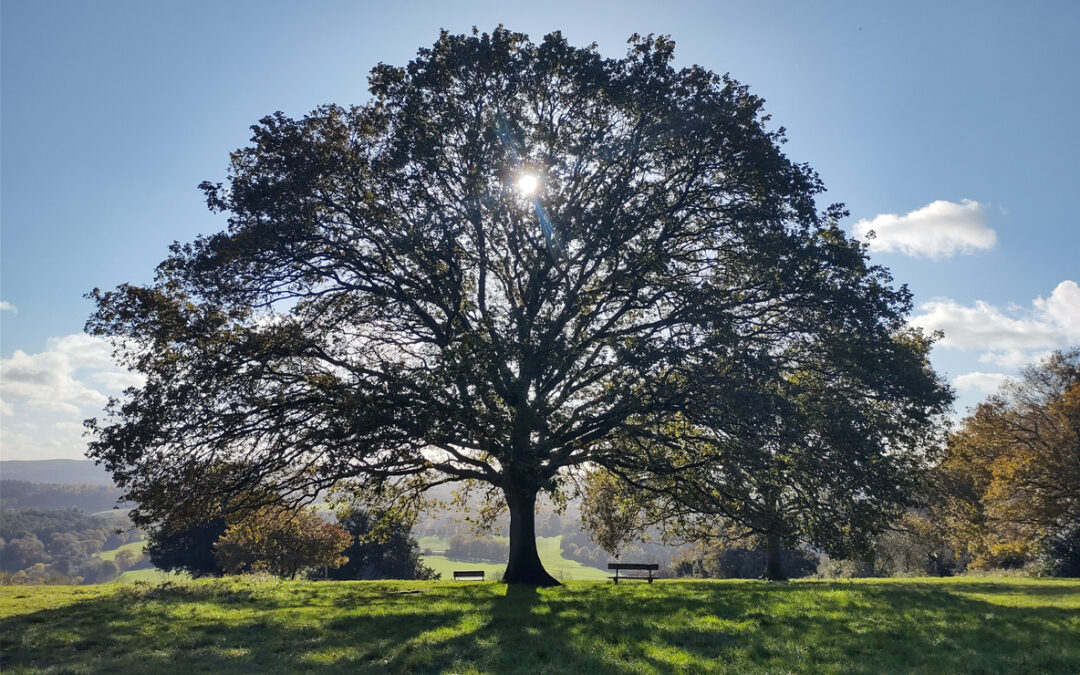 How to Expand Without Breaking: The Secret to Sustainable Business Growth